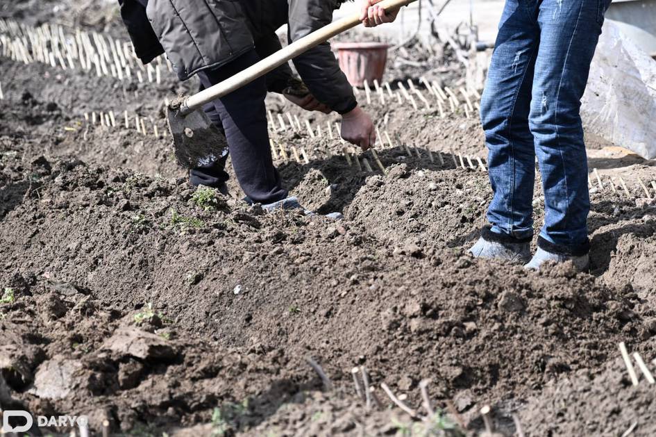 O‘zbekistonda mahallalardagi tadbirkorlikni rivojlantirish uchun 8 mlrd dollar yo‘naltiriladi